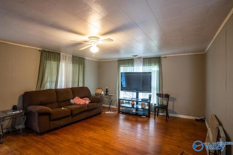 6973 N Willow Rd, Ider, AL 35981 photo 5