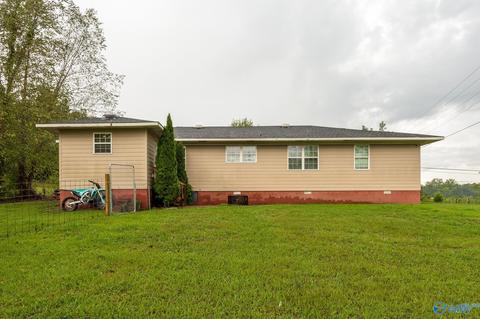 6688 E Upper River Rd, Somerville, AL 35670 photo 3