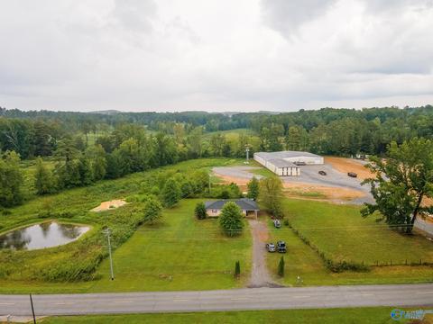 6688 E Upper River Rd, Somerville, AL 35670 photo 18