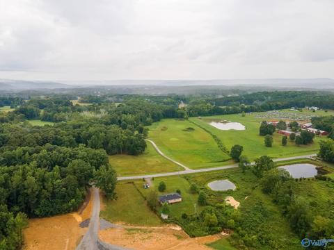 6688 E Upper River Rd, Somerville, AL 35670 photo 21