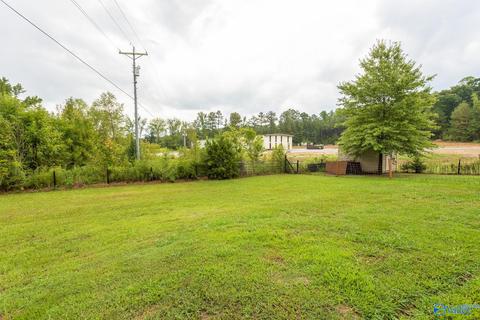 6688 E Upper River Rd, Somerville, AL 35670 photo 4
