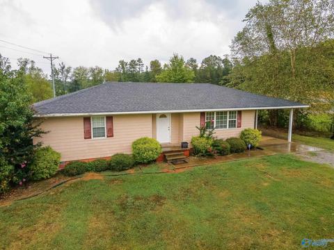 6688 E Upper River Rd, Somerville, AL 35670 photo 17