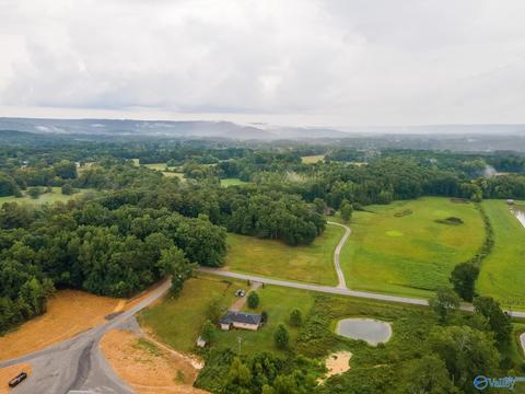 6688 E Upper River Rd, Somerville, AL 35670 photo 20