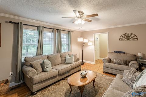 6688 E Upper River Rd, Somerville, AL 35670 photo 13