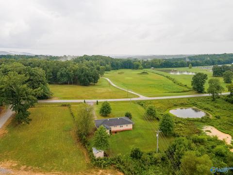 6688 E Upper River Rd, Somerville, AL 35670 photo 22