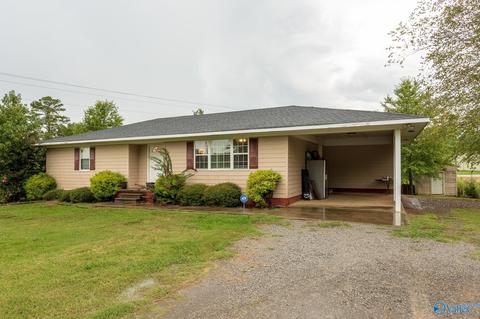 6688 E Upper River Rd, Somerville, AL 35670 photo 1