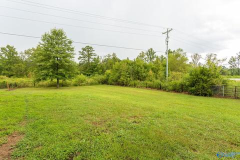 6688 E Upper River Rd, Somerville, AL 35670 photo 6