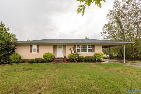 6688 E Upper River Rd, Somerville, AL 35670 photo 2