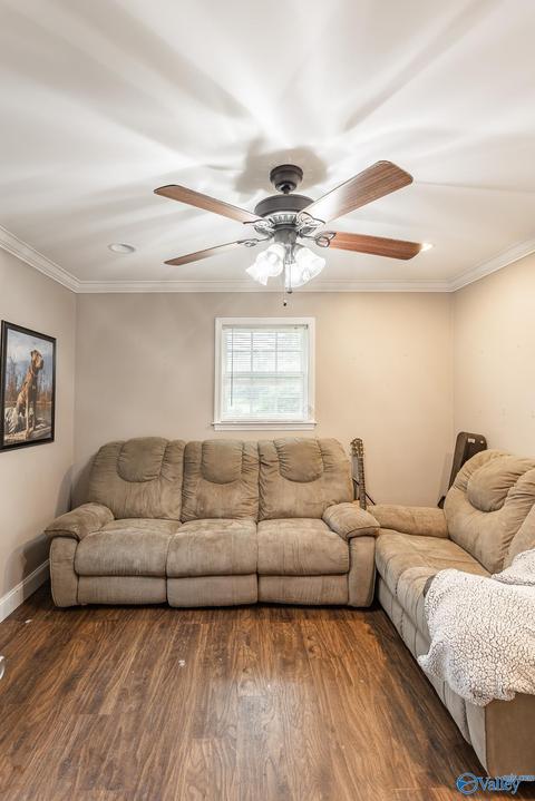 6688 E Upper River Rd, Somerville, AL 35670 photo 12
