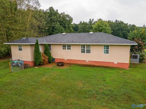 6688 E Upper River Rd, Somerville, AL 35670 photo 23