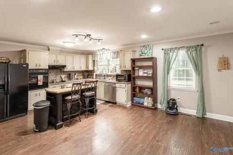 6688 E Upper River Rd, Somerville, AL 35670 photo 8