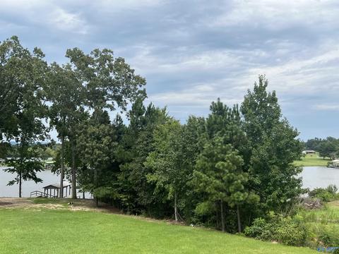 595 Lakeside Dr, Centre, AL 35960 photo 23