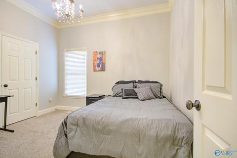 11101 Drennen Dr, Tanner, AL 35671 photo 19