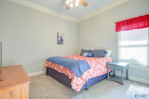 11101 Drennen Dr, Tanner, AL 35671 photo 22