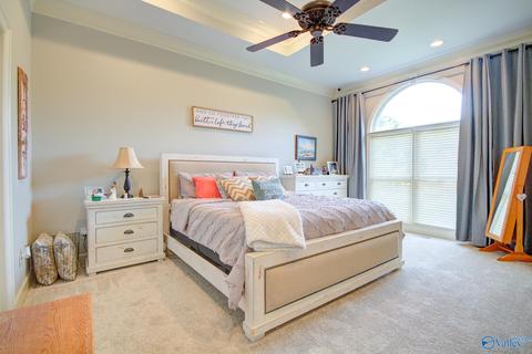 11101 Drennen Dr, Tanner, AL 35671 photo 37