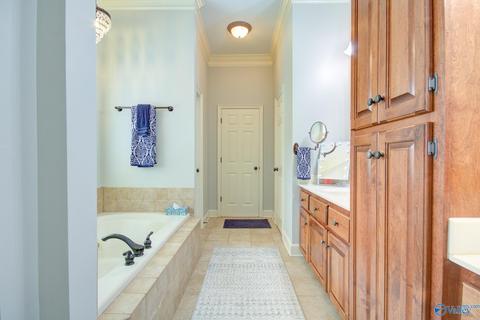 11101 Drennen Dr, Tanner, AL 35671 photo 40