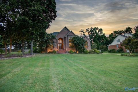 11101 Drennen Dr, Tanner, AL 35671 photo 47
