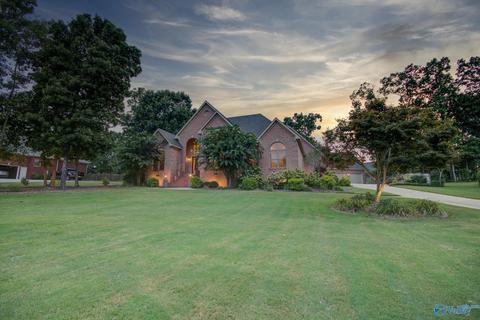 11101 Drennen Dr, Tanner, AL 35671 photo 48