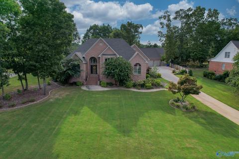 11101 Drennen Dr, Tanner, AL 35671 photo 1