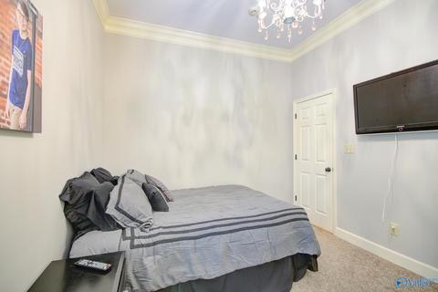 11101 Drennen Dr, Tanner, AL 35671 photo 20