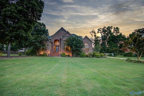 11101 Drennen Dr, Tanner, AL 35671 photo 2