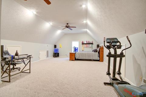 11101 Drennen Dr, Tanner, AL 35671 photo 45