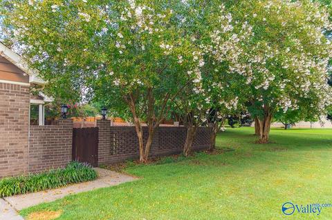 11 Dee Ann Rd, Trinity, AL 35673 photo 32