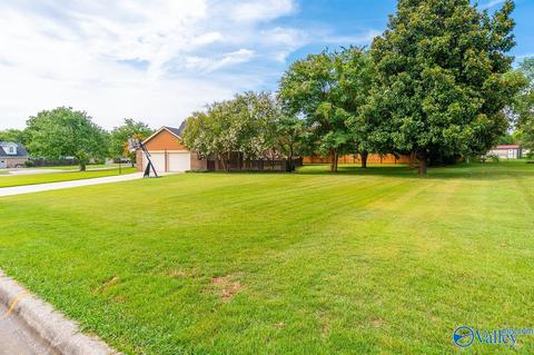 11 Dee Ann Rd, Trinity, AL 35673 photo 35
