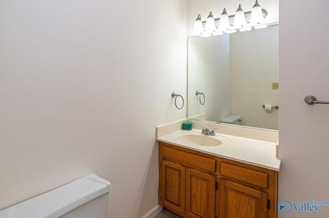 11 Dee Ann Rd, Trinity, AL 35673 photo 26