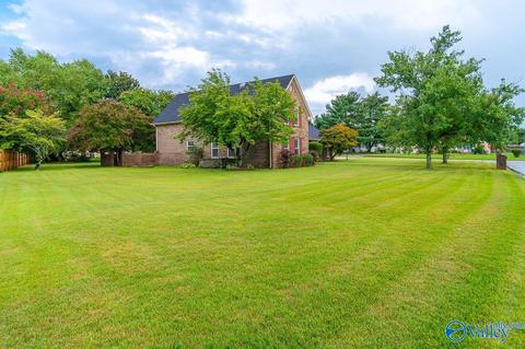 11 Dee Ann Rd, Trinity, AL 35673 photo 34