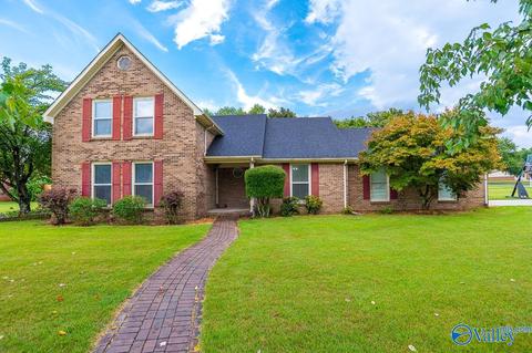 11 Dee Ann Rd, Trinity, AL 35673 photo 1