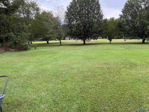 2160 Graham Dr, Southside, AL 35907 photo 18
