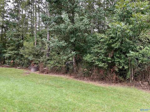 2160 Graham Dr, Southside, AL 35907 photo 17