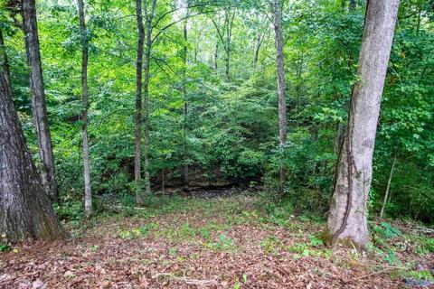 121 County Road 373, Trinity, AL 35673 photo 32