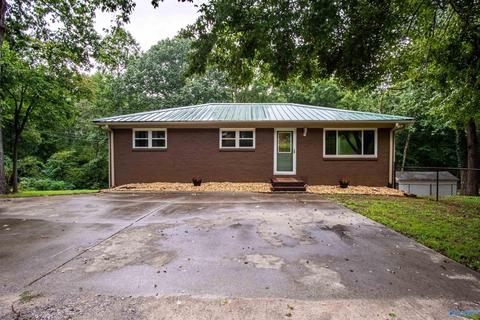 121 County Road 373, Trinity, AL 35673 photo 1
