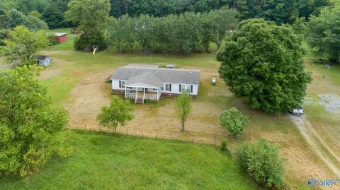 229 County Road 549, Trinity, AL 35673 photo 2