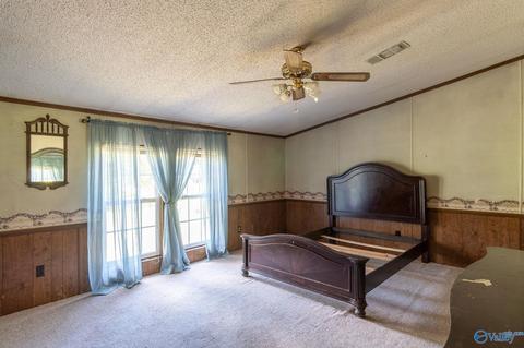 229 County Road 549, Trinity, AL 35673 photo 11