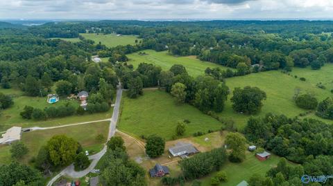 229 County Road 549, Trinity, AL 35673 photo 27