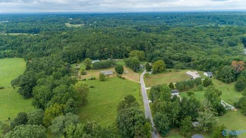 229 County Road 549, Trinity, AL 35673 photo 18
