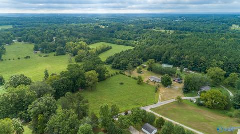 229 County Road 549, Trinity, AL 35673 photo 23