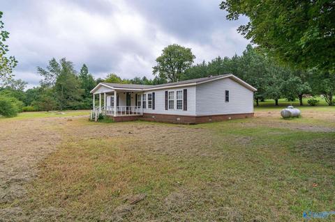 229 County Road 549, Trinity, AL 35673 photo 3