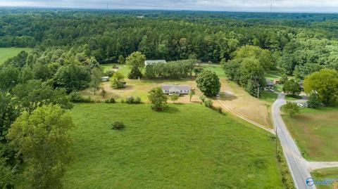 229 County Road 549, Trinity, AL 35673 photo 1