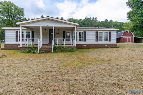 229 County Road 549, Trinity, AL 35673 photo 17