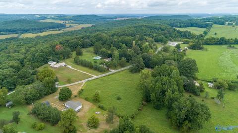 229 County Road 549, Trinity, AL 35673 photo 21