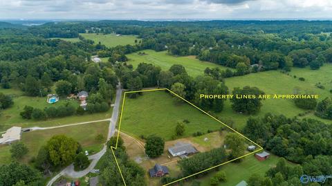 229 County Road 549, Trinity, AL 35673 photo 20