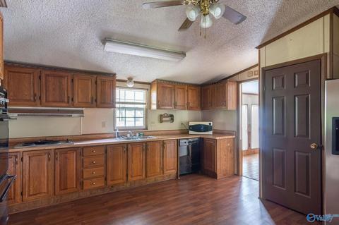 229 County Road 549, Trinity, AL 35673 photo 6