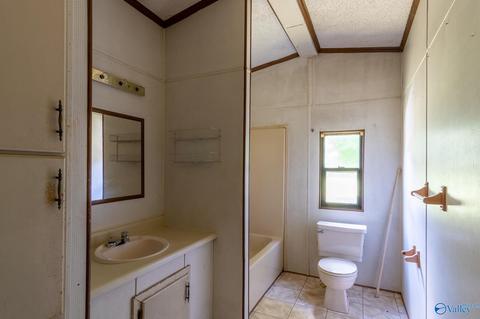 229 County Road 549, Trinity, AL 35673 photo 16