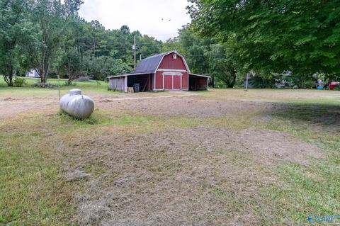 229 County Road 549, Trinity, AL 35673 photo 22