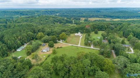 229 County Road 549, Trinity, AL 35673 photo 19