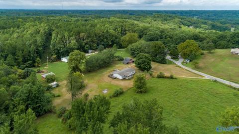 229 County Road 549, Trinity, AL 35673 photo 25
